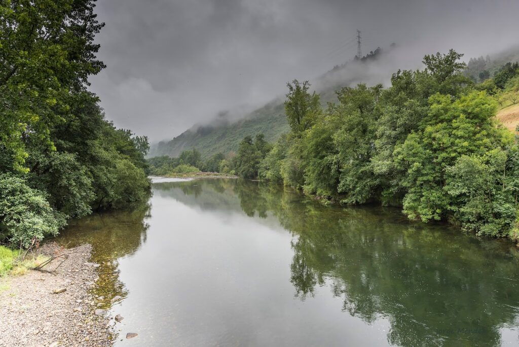 Rio Narcea.
